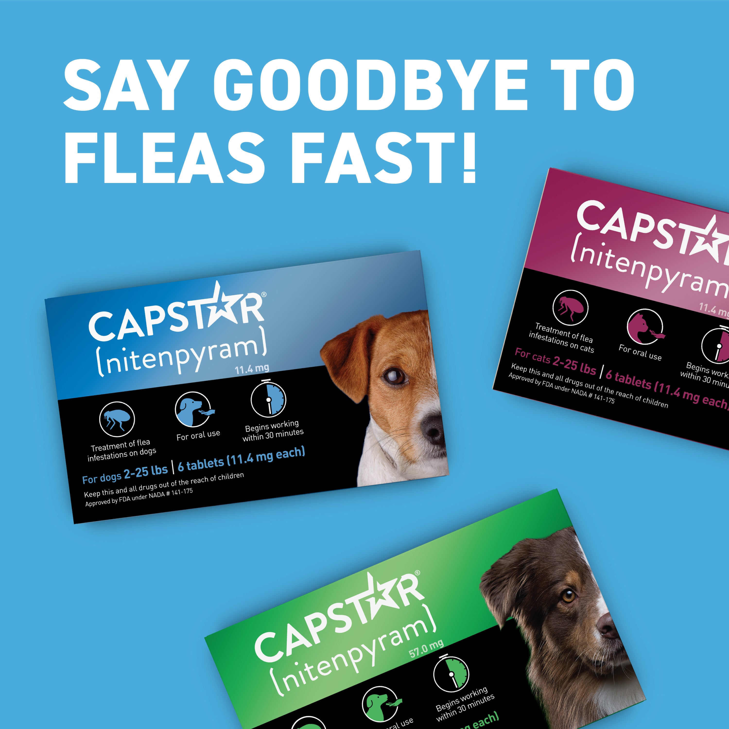 CAPSTAR® (nitenpyram) Oral Flea Treatment for Dogs
